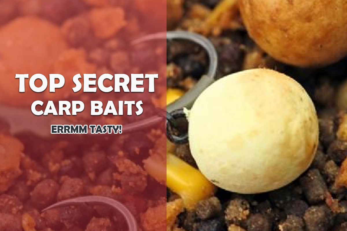 8 Top Secret Carp Baits Unlocking the Secrets To Land More Fish Fishing Tackle Setup Tips & Guides