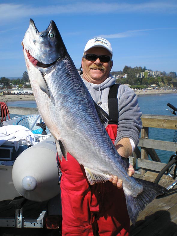 Nor Cal Salmon Opener Very Good in Monterey Bay!
