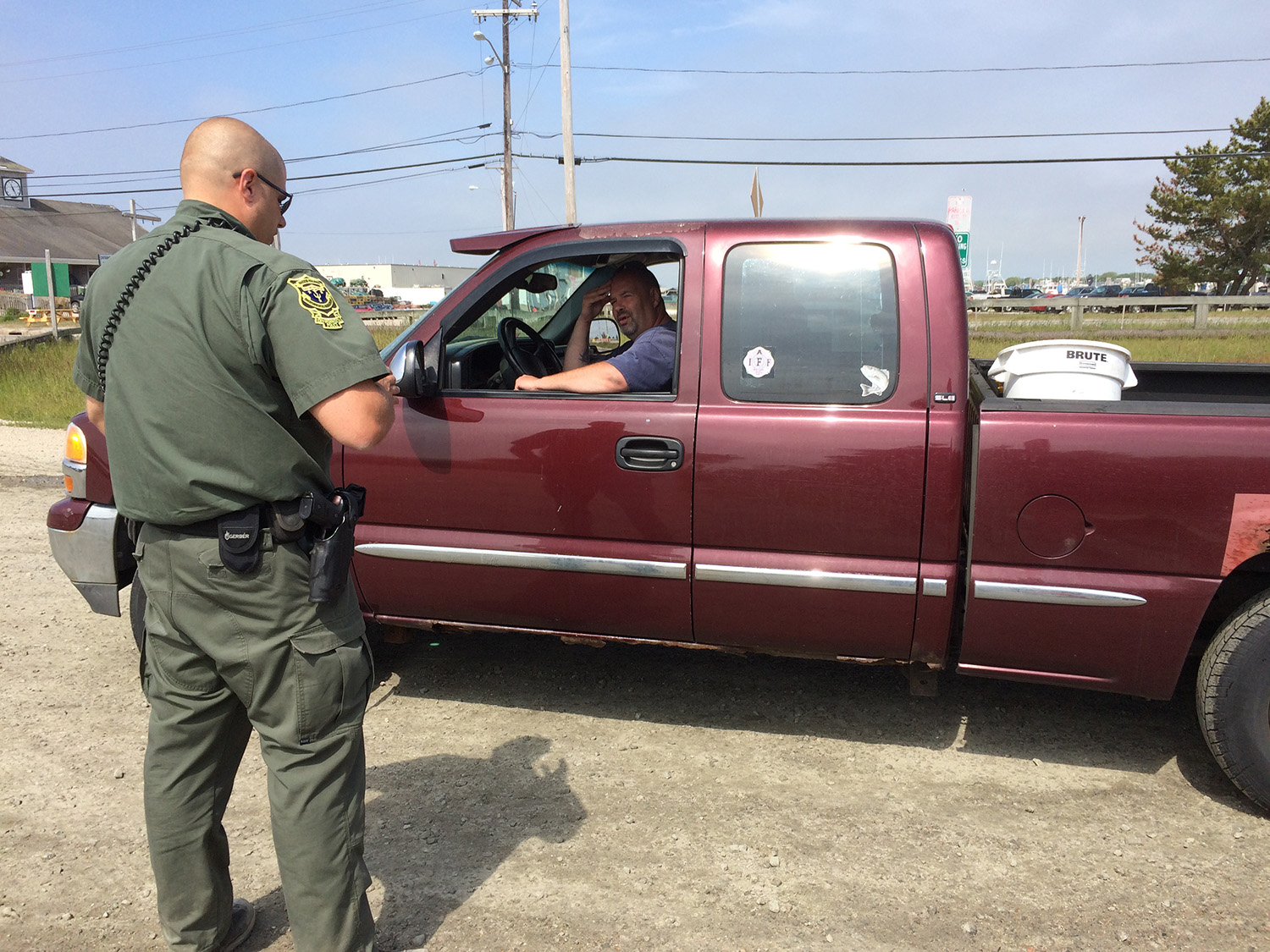 Who's Trapping Coyotes on Aquidneck Island? • The Fish Wrap Writer