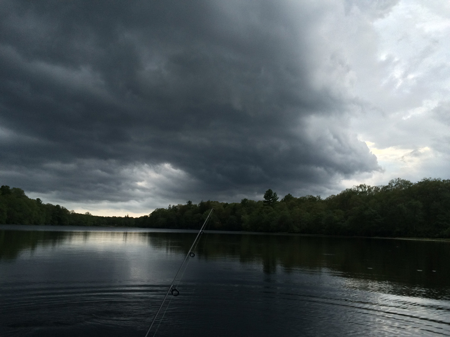 Finding Fish in an August Salt Pond • The Fish Wrap Writer, Rhode Island