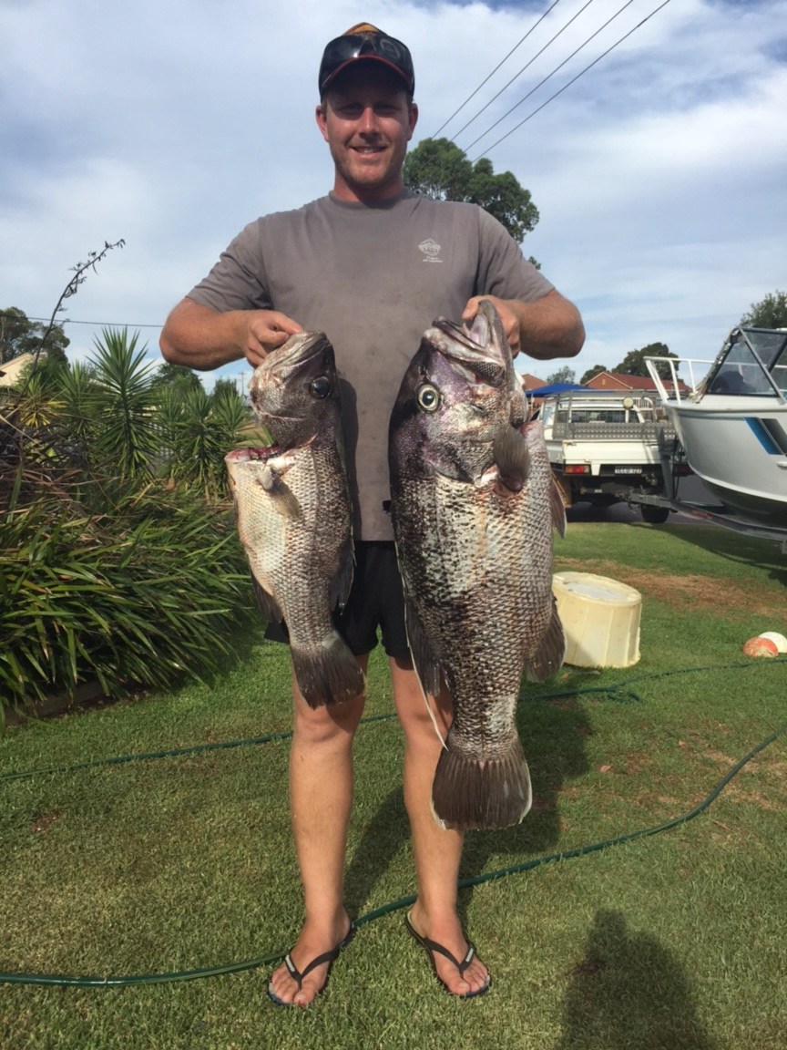 Ocean harvest off bunbury Fishing Fishing WA