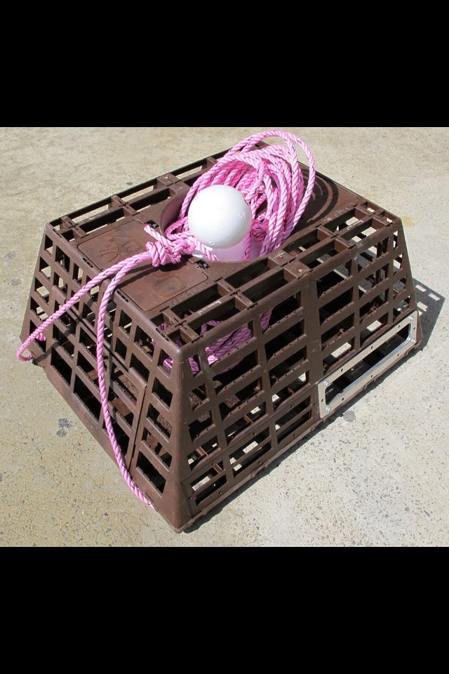 Katipo plastic cray pots Fishing Fishing WA