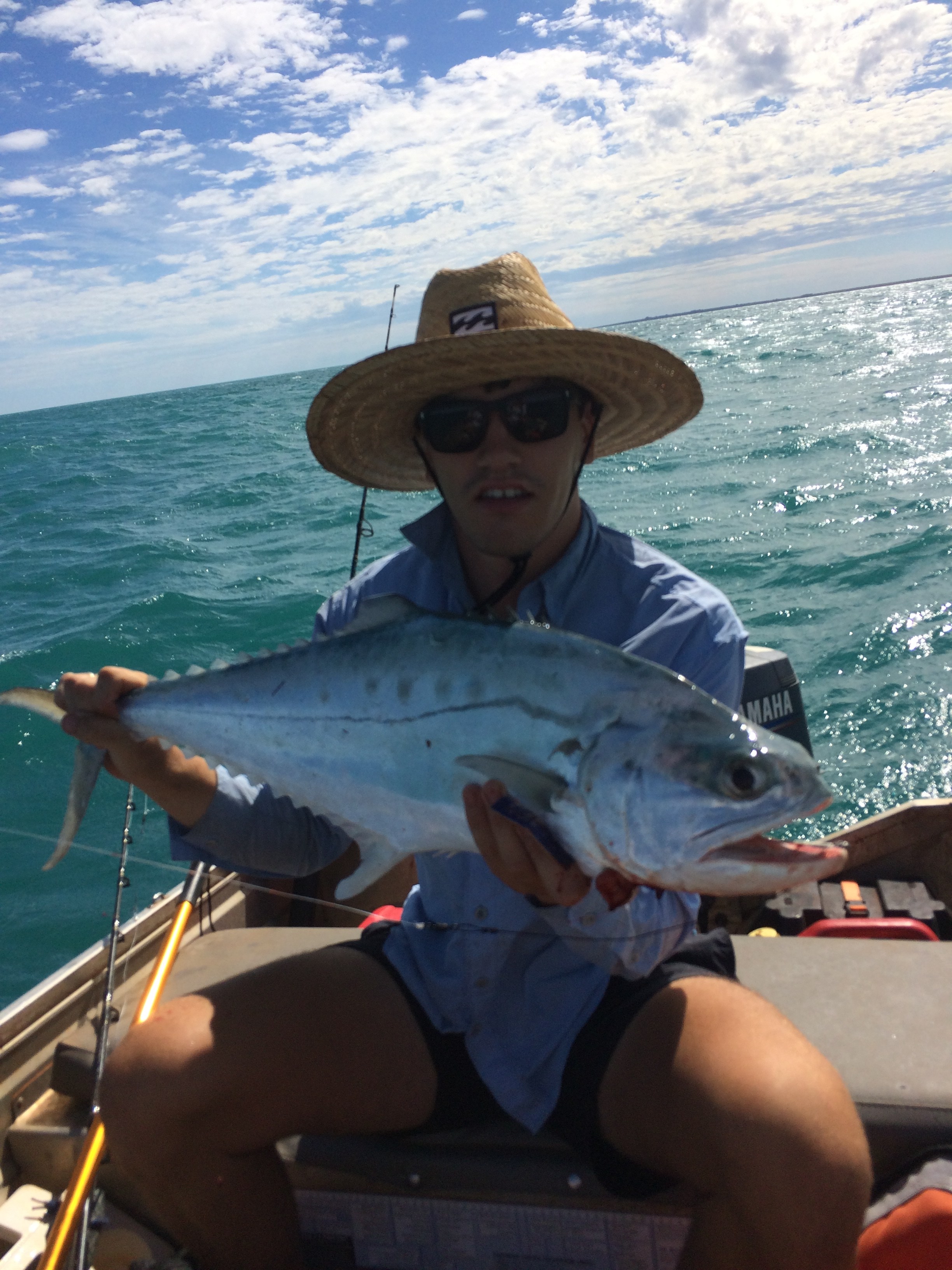 A few mackerel from the last 3 days Fishing