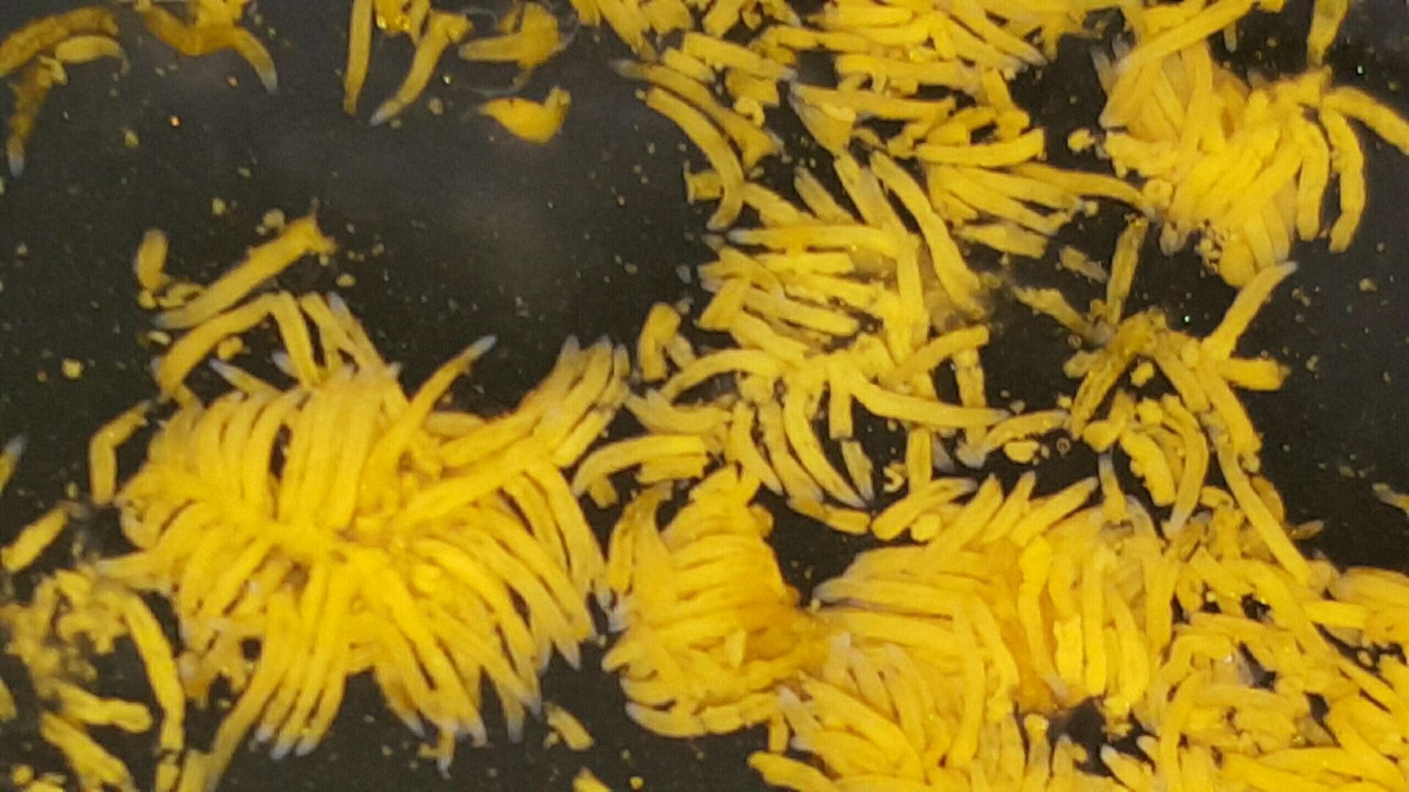 Crayfish worms/parasite Fishing Fishing WA