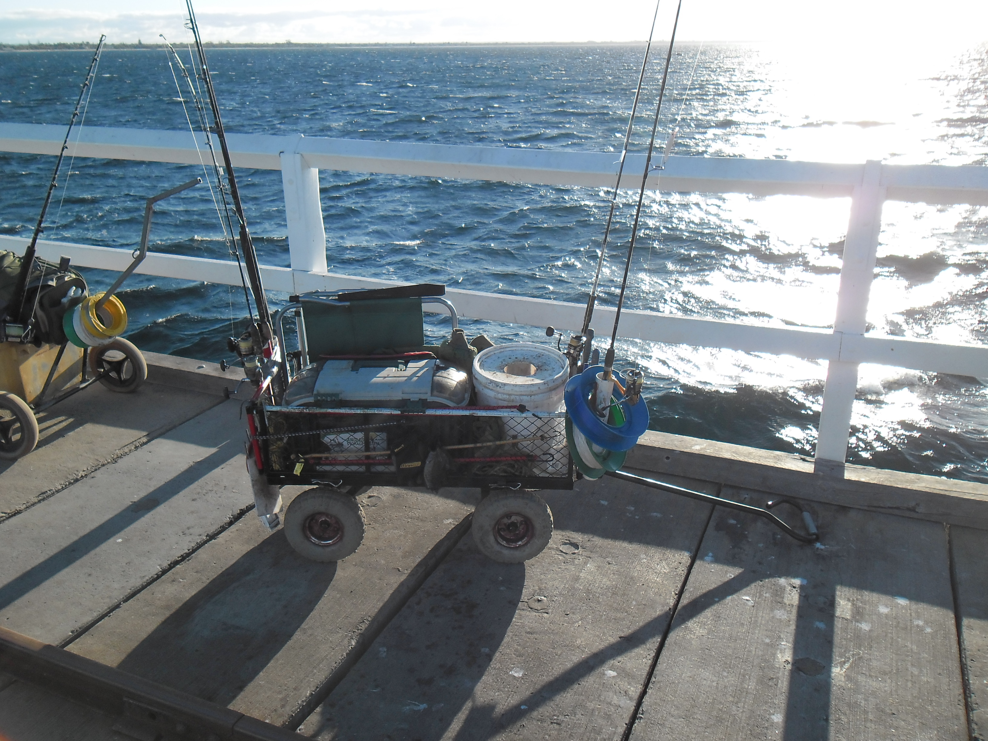 Busselton Jetty Fishing Fishing Fishing WA