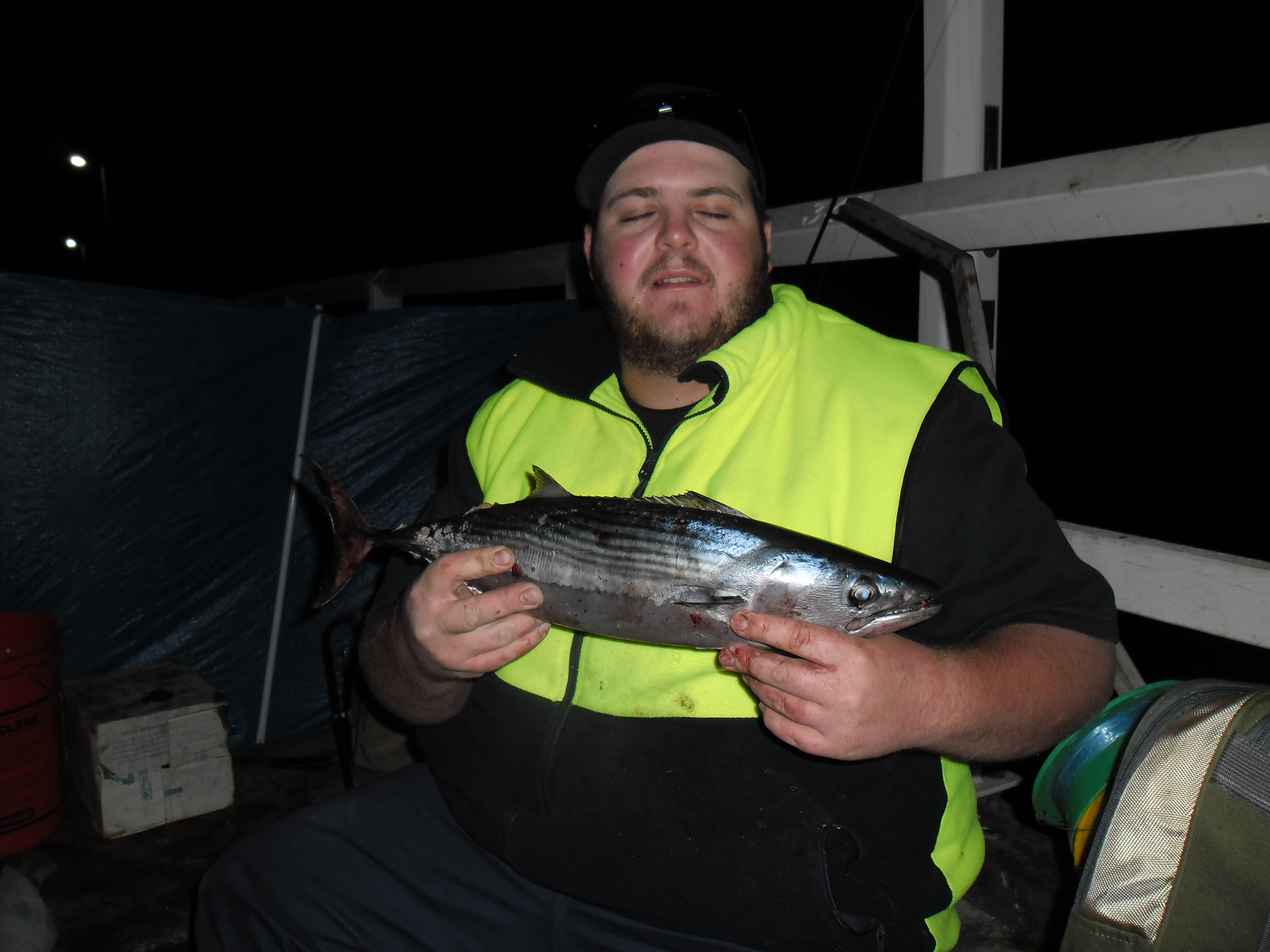 Busselton Fresh Fish at Suzanne Schlueter blog