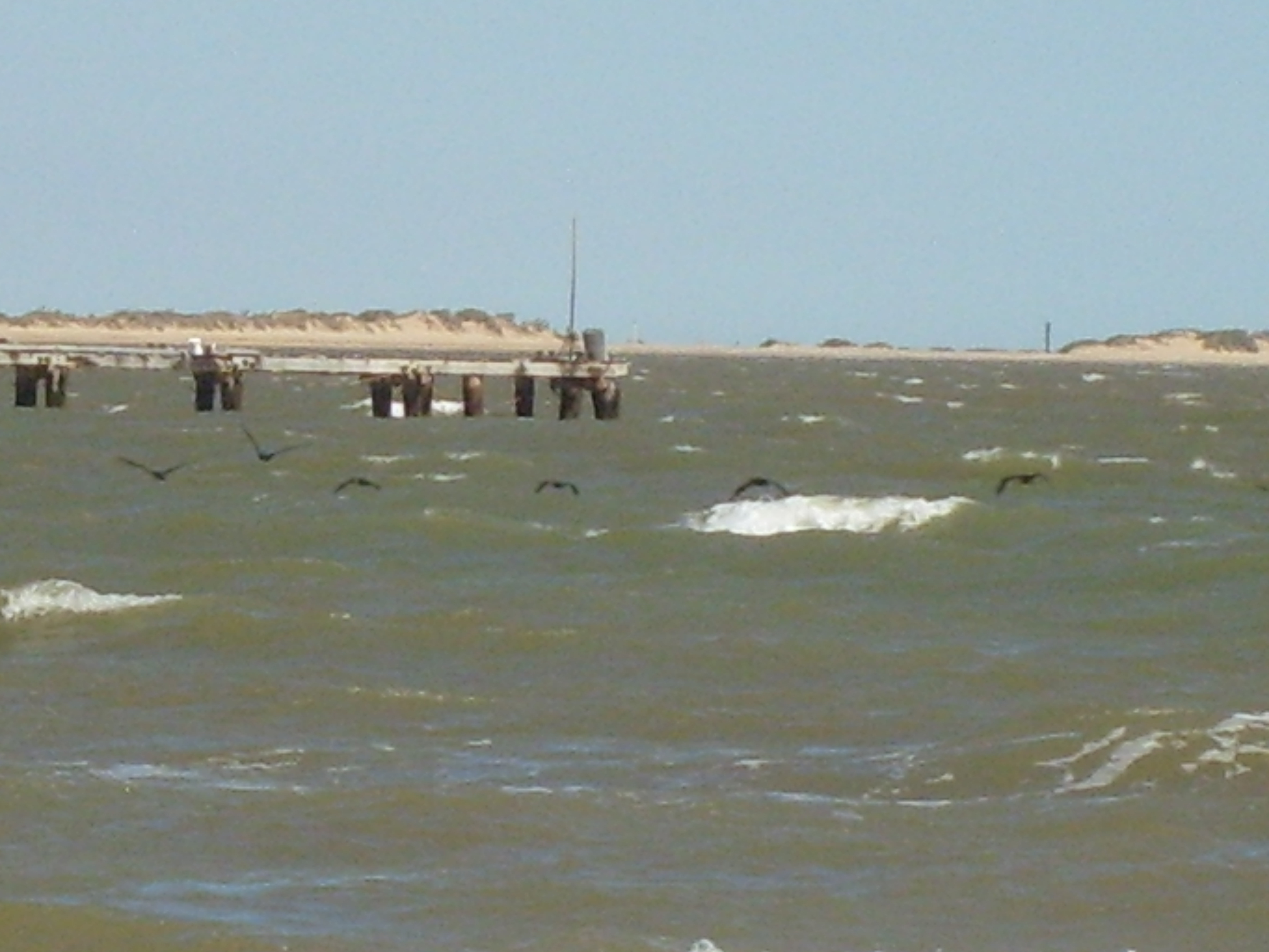 Carnarvon Jetty Fire Fishing Fishing WA. Fishing