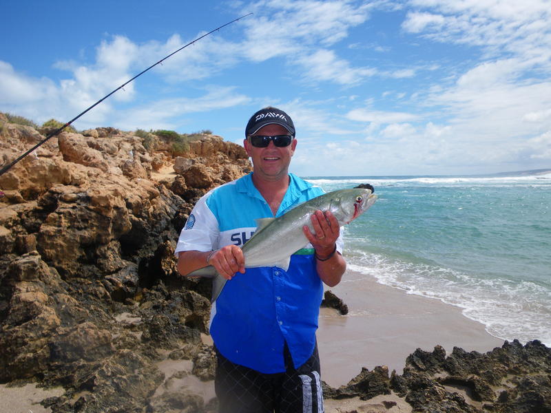 Kalbarri tailor Fishing Fishing WA. Fishing