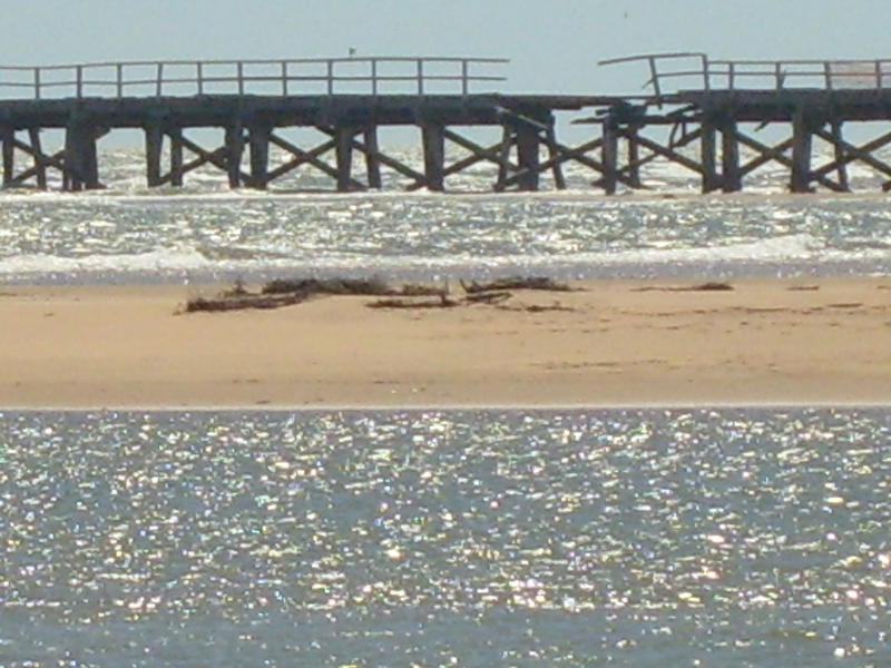Carnarvon Jetty Fire Fishing Fishing WA. Fishing