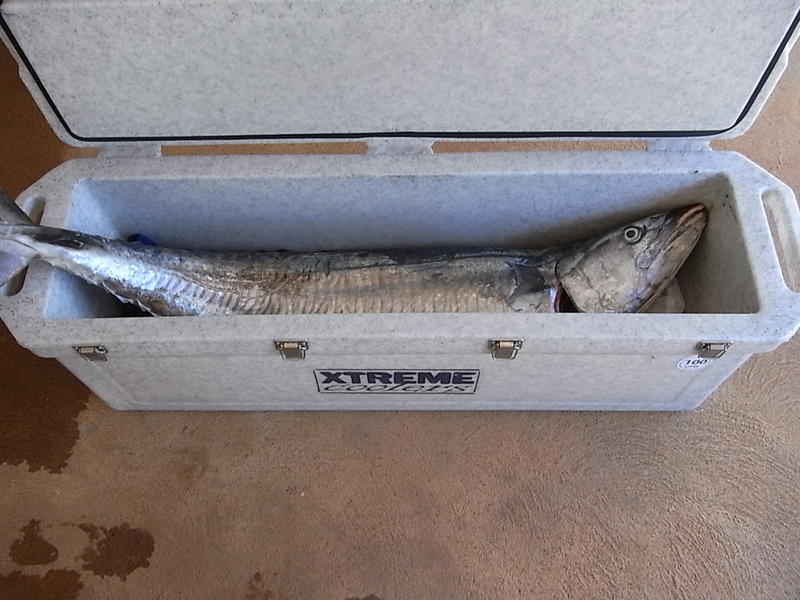 Christened the new mackeral esky Fishing Fishing