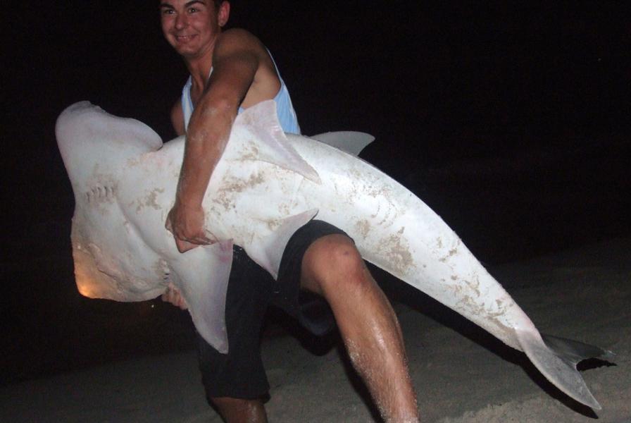 shovel nose shark Fishing Fishing WA. Fishing