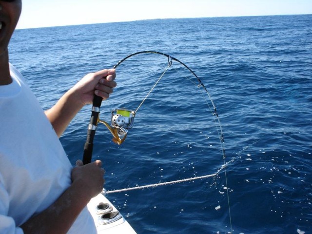 SOL 2500 v Twinpower 2500 Bream Master Forums