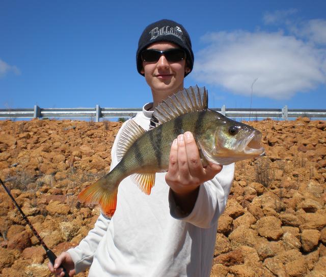 Dean's mate Niall with a nice Redfin Perch caught at Harvey. Fishing