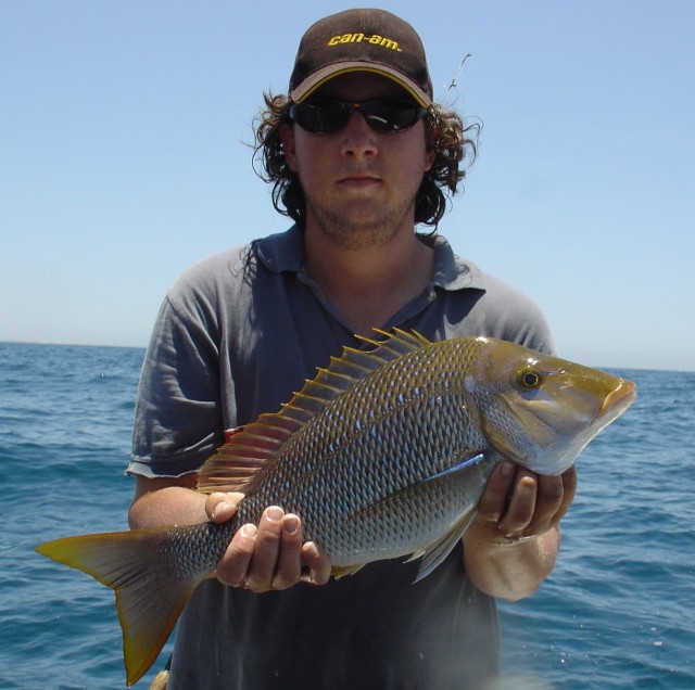 Birdman's Spangled Emperor Fishing Fishing WA. Fishing Photos & Videos