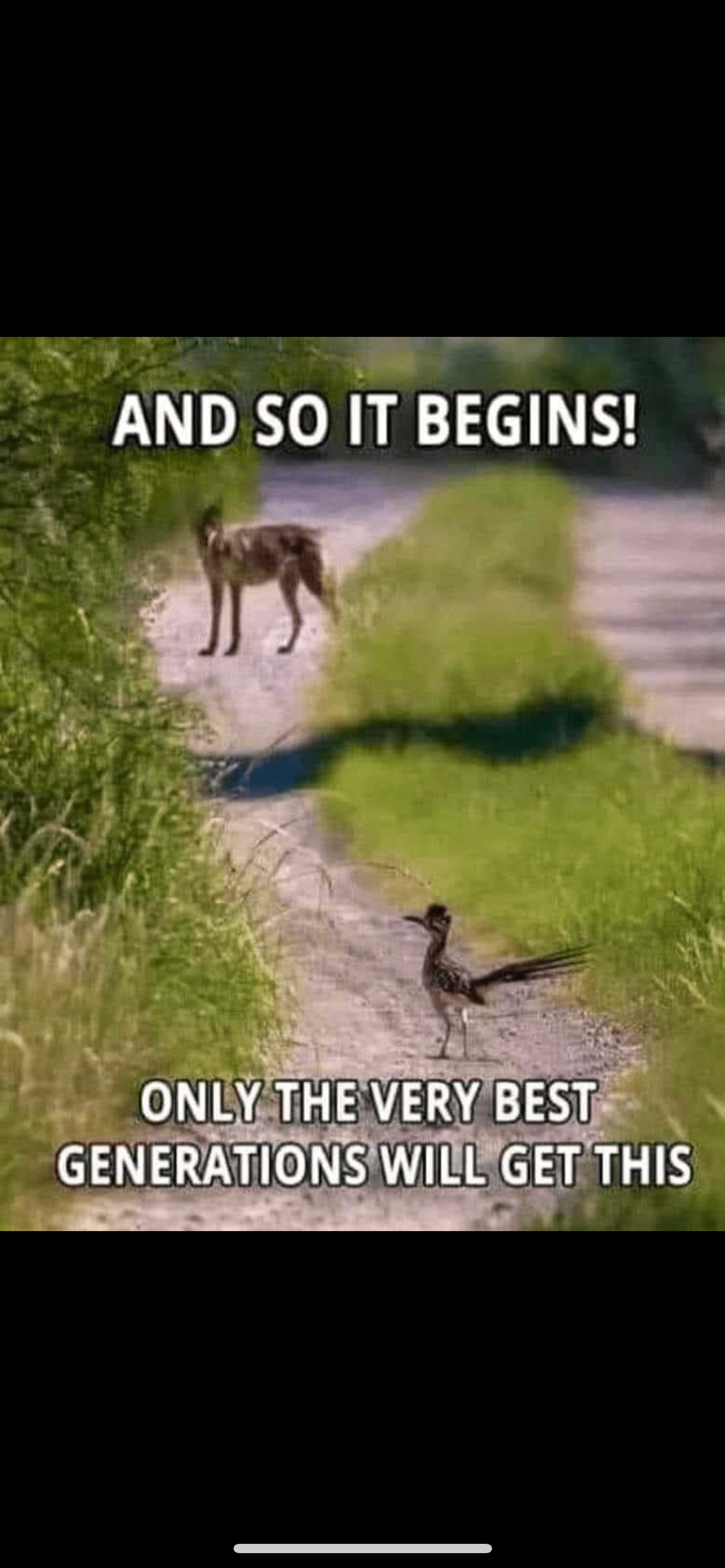 Friday Funny’s Fishing Fishing WA. Fishing Photos