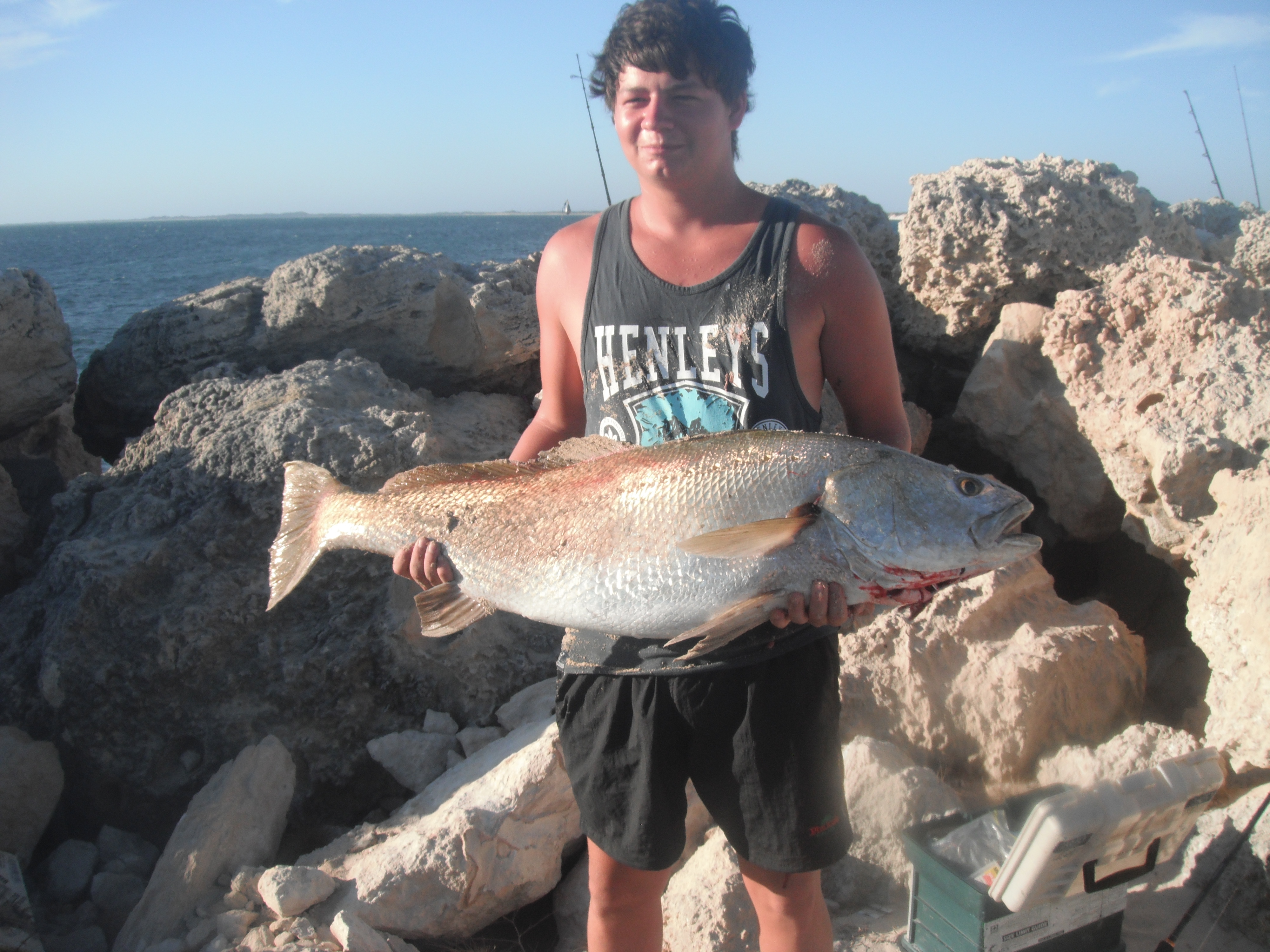 jurien bay report Fishing Fishing WA. Fishing