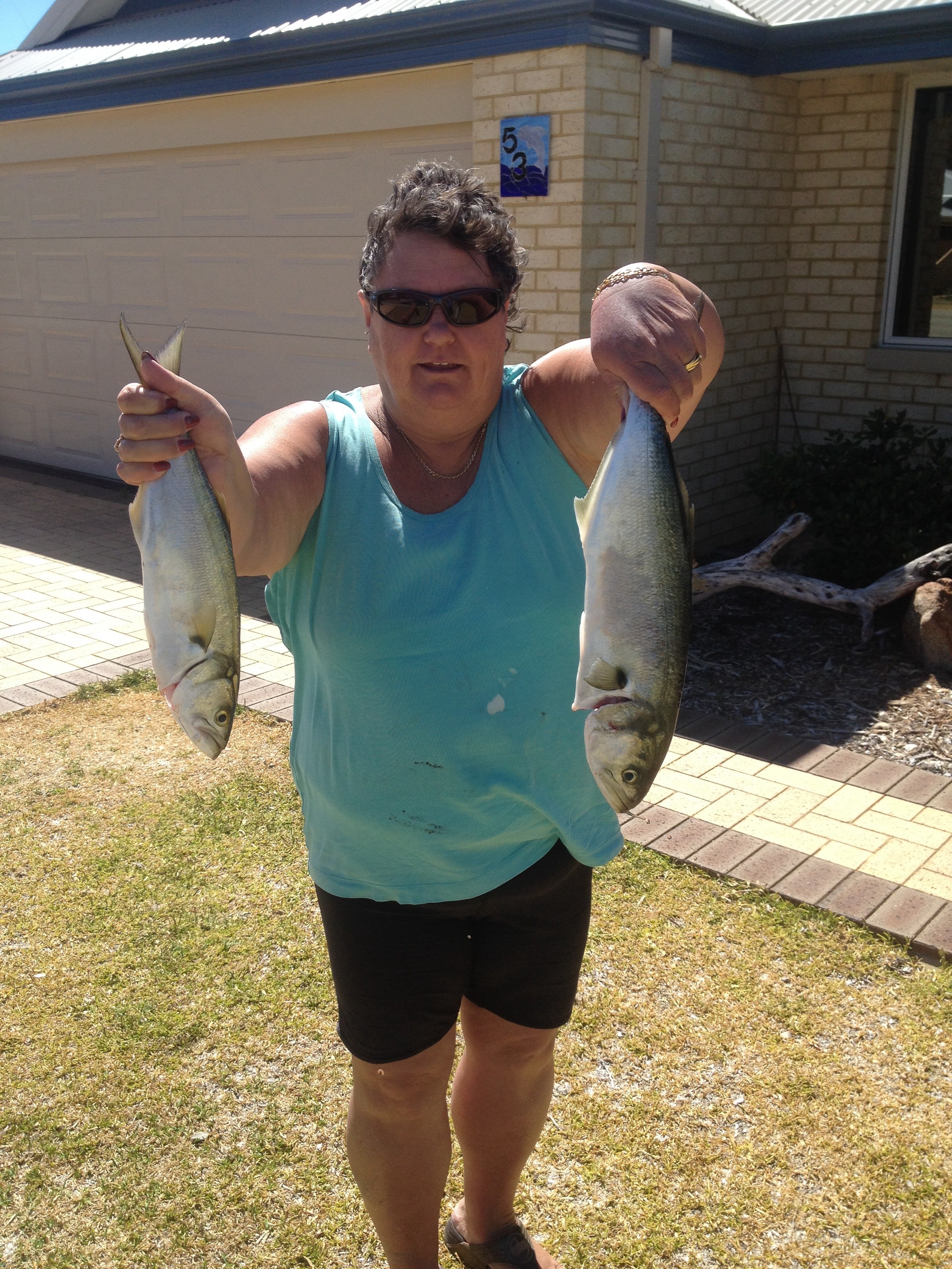 Mandurah tailor Fishing Fishing WA. Fishing