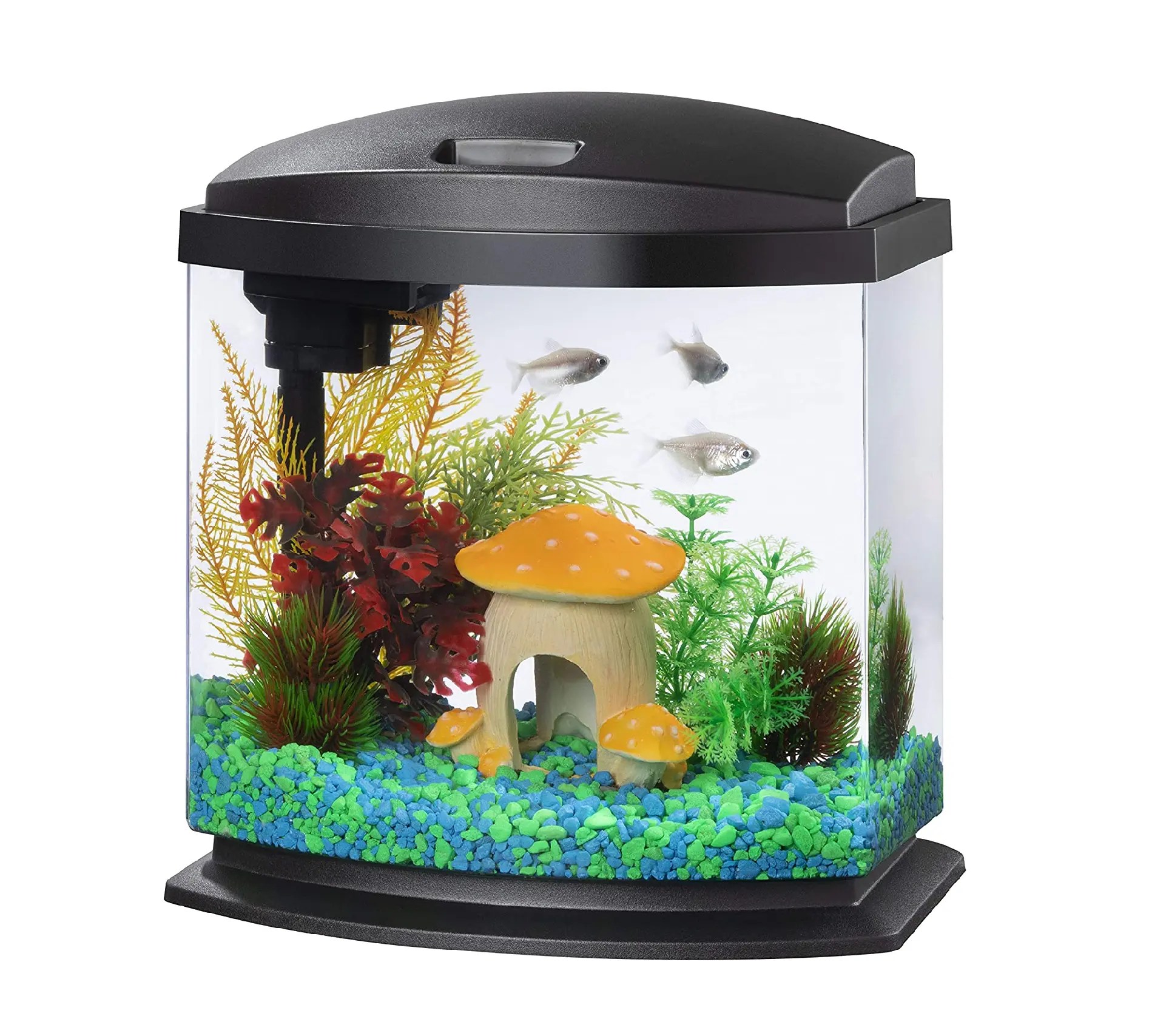 Taking Full Advantage of Petco Tank Sale December 2023