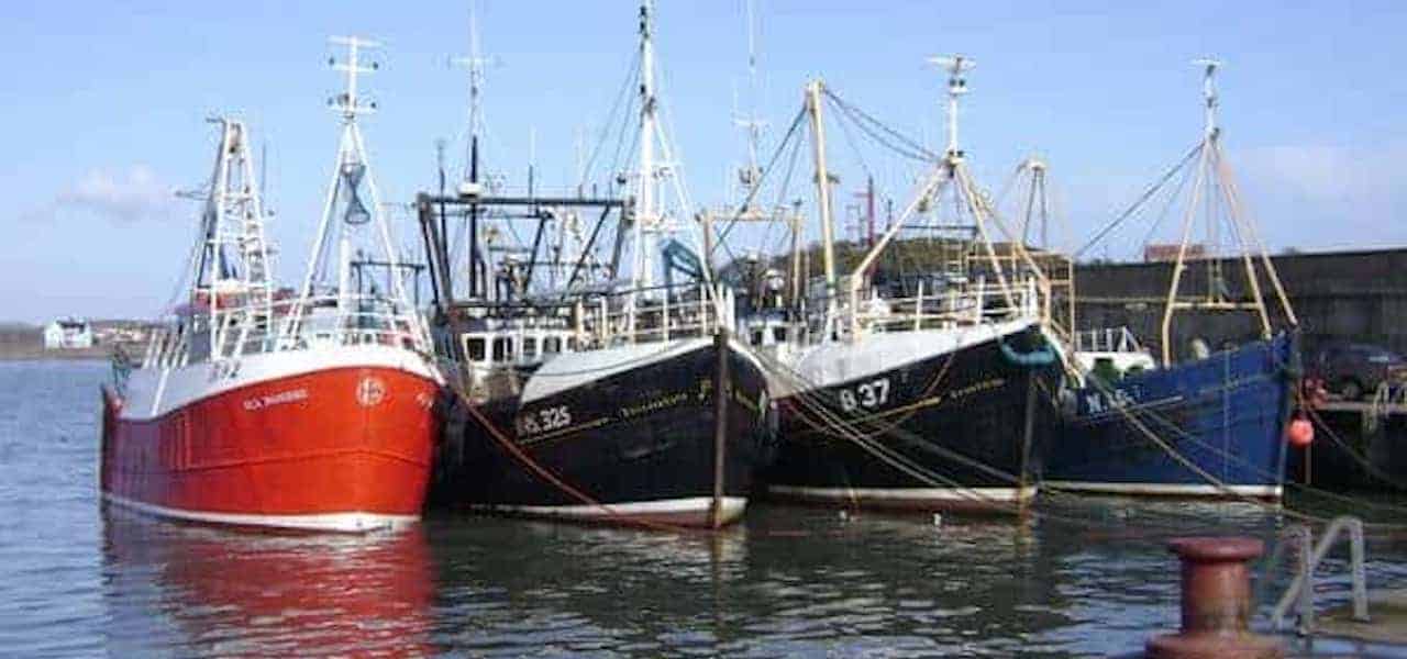 £1.5 million lifeline for Northern Ireland fishing industry FiskerForum