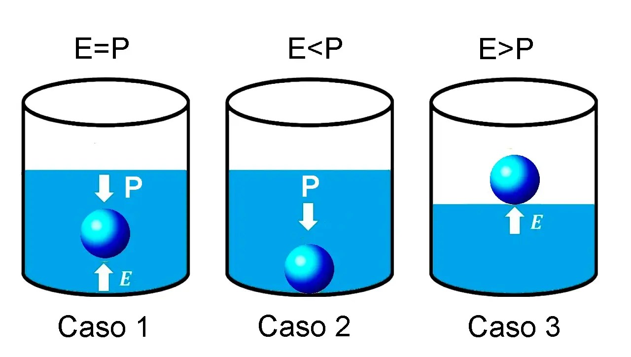Principio de Arquímedes Asesoría de matemáticas y física