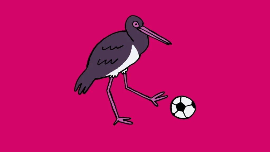 Kick Off Your Laughter with 220+ Field Goal Kicker Jokes Fitcaptions