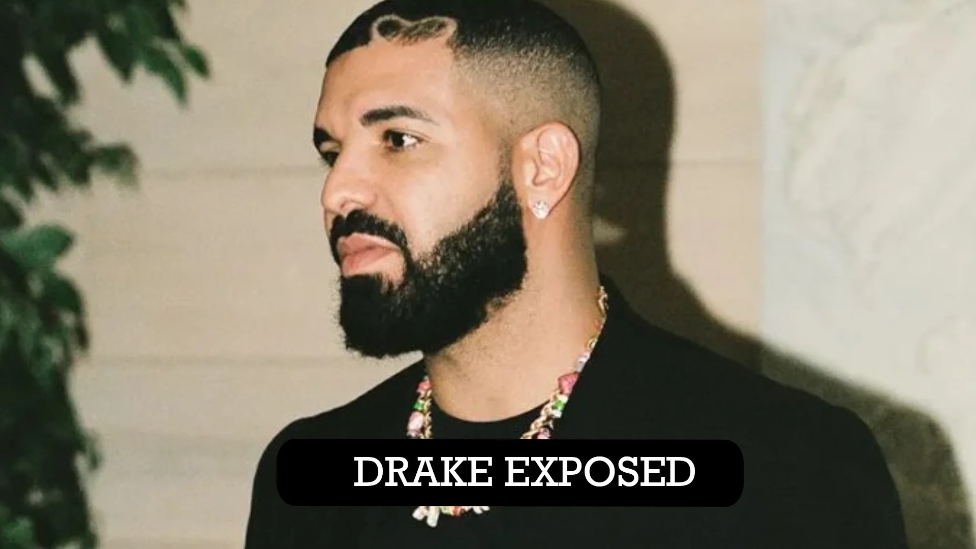 Drake Exposed Untold Secrets Revealed In 2024(02)