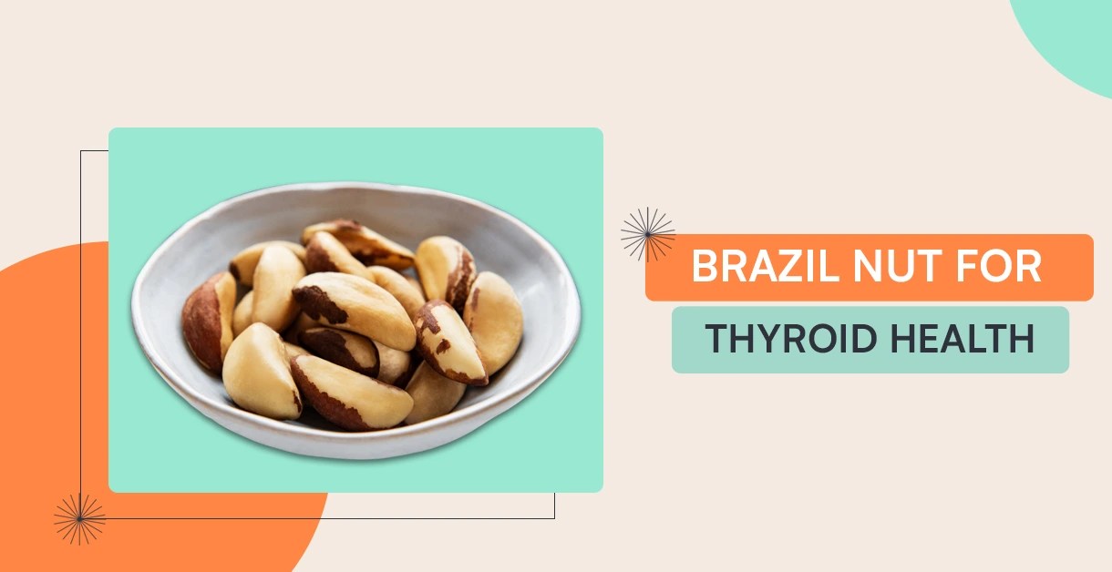 Brazil Nut For Thyroid Health Health Benefits, Nutrition And Risks
