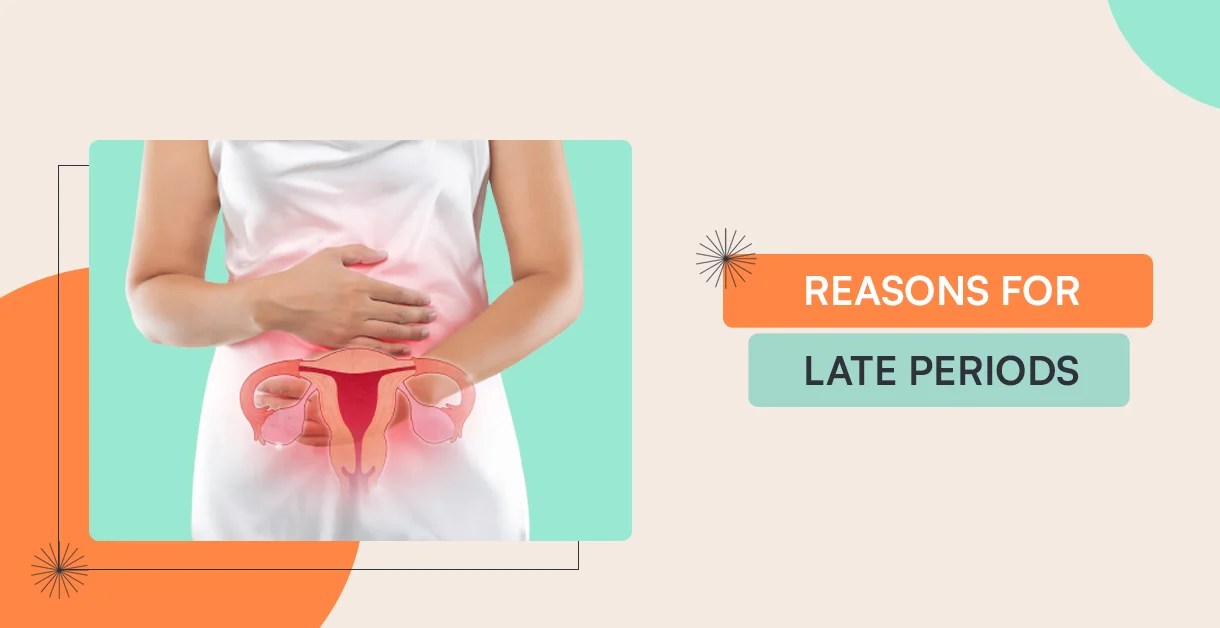 Reasons For Late Periods Let's Read About Hormonal Imbalances