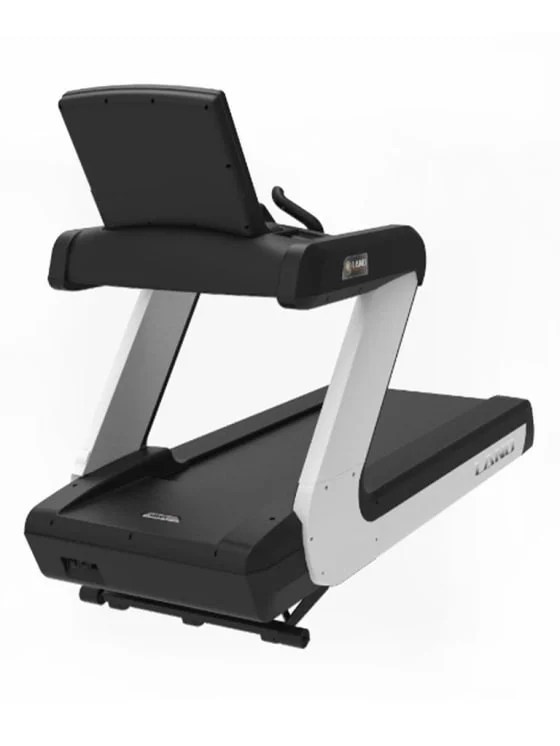 Buy Afton Fitness Commercial Treadmill LDT918B
