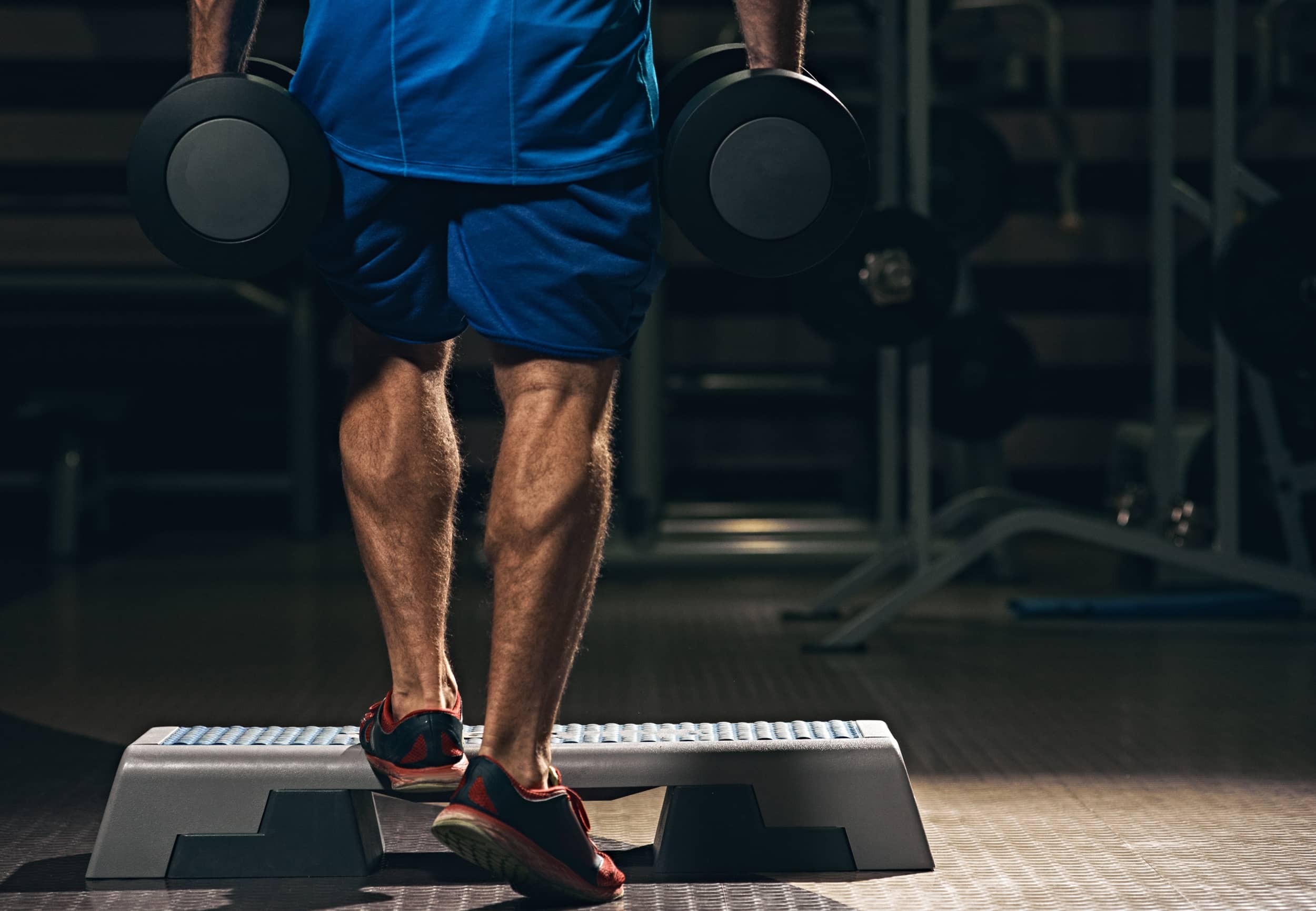 Seated or standing calf raises? fitguide.blog