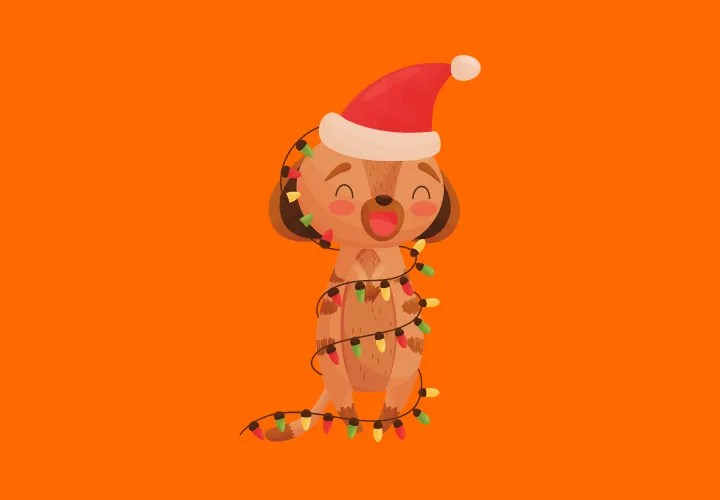 70+ Funny Wrap Your Willy Jokes