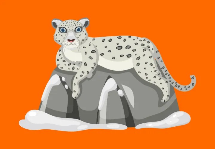 100+ Funny Snow Leopard Jokes