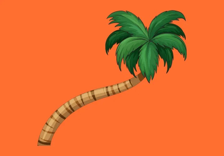 Keep the Shade Chuckling 150+ Hilarious Palm Tree Puns to Palmify