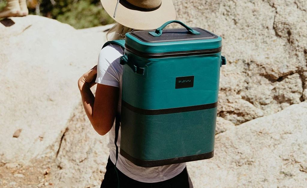 Guide On Best Backpack Coolers in 2023 FitLag