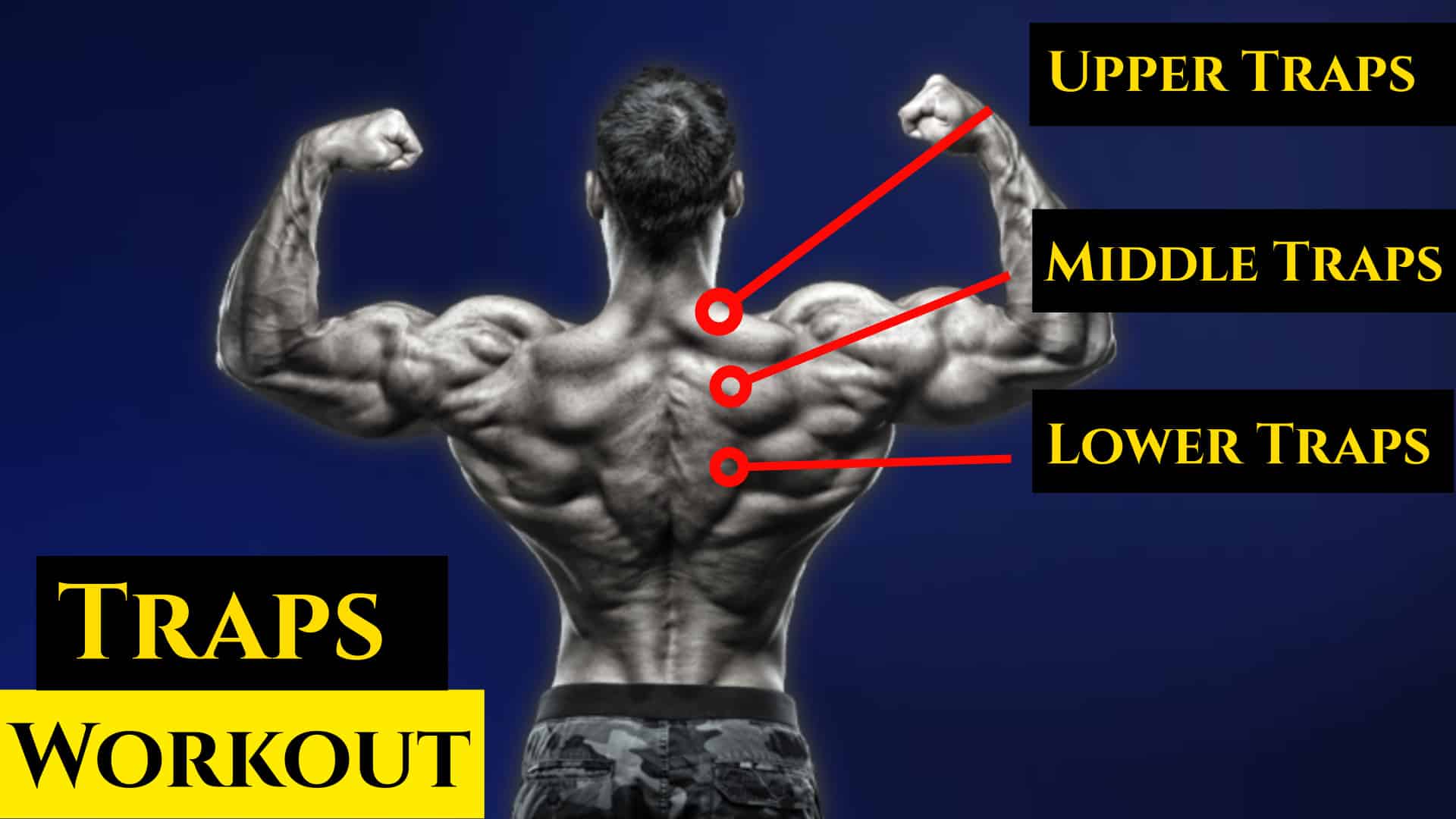 20 Best Trap Exercises for Mass and Strength (With Workout Plan)