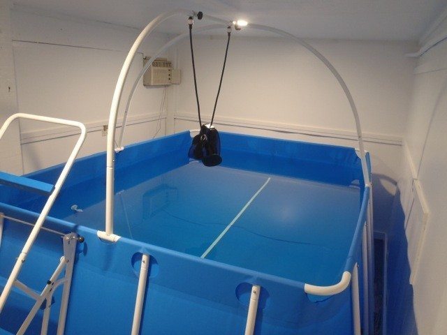 Official iPool Accessory Belt Above Ground Exercise Pool