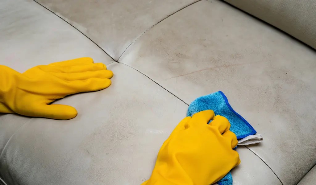 How to Clean a Leather Couch The Ultimate Care Guide Fit My Sofa