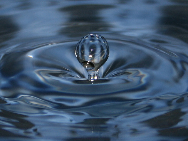 Water The Universal ‘Fat’ Solvent — Fit N Chic