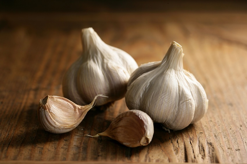 Medicinal preparation of garlic and olive oil for hypertension