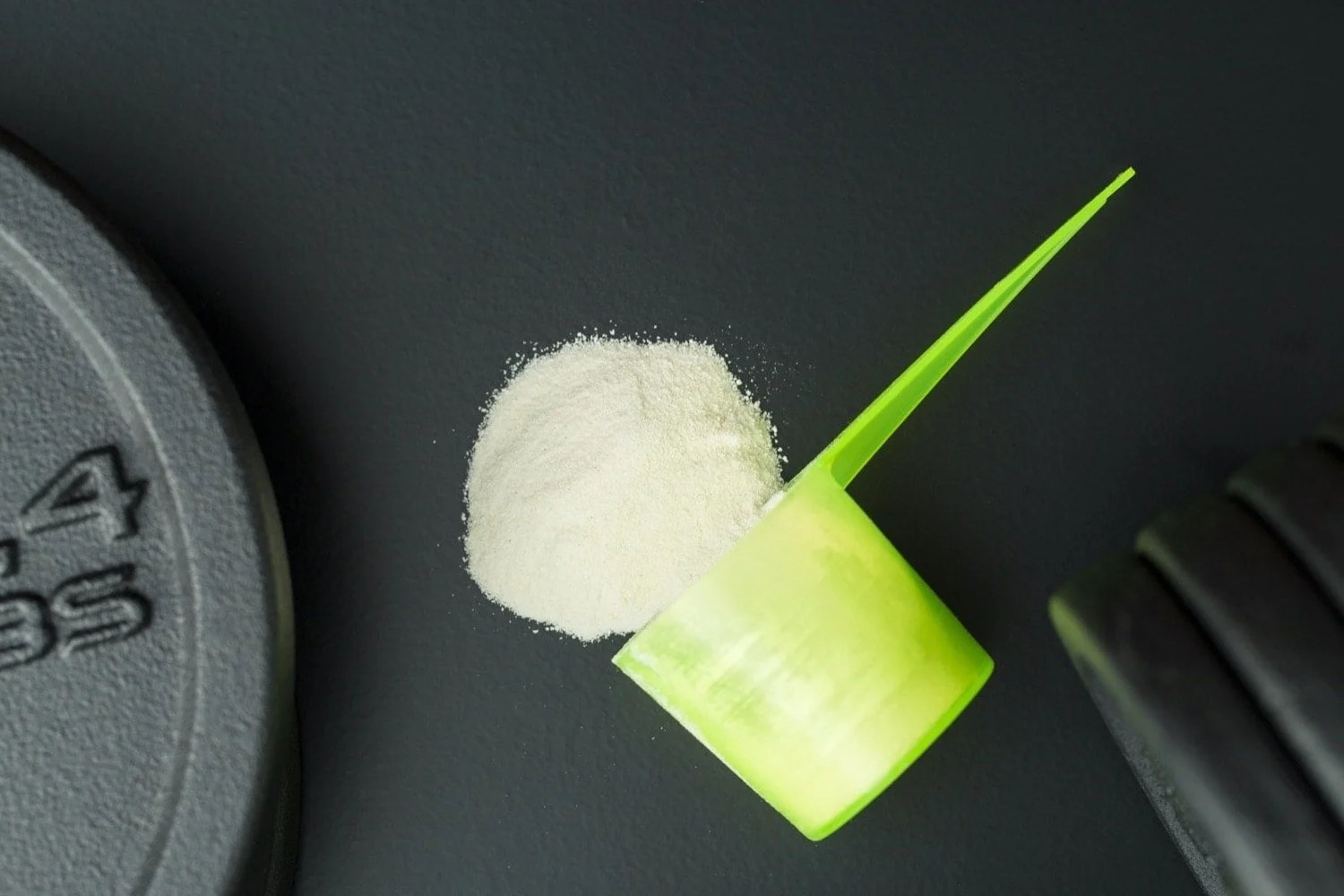 Best PlantBased Protein Powder Our Top 5 Picks