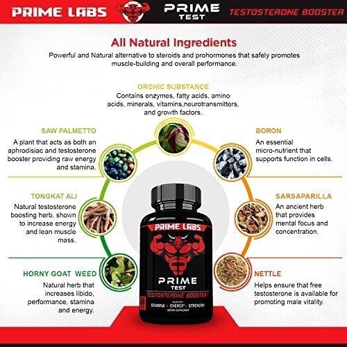 Prime Labs Prime Test Review Does This TBooster Really Work?