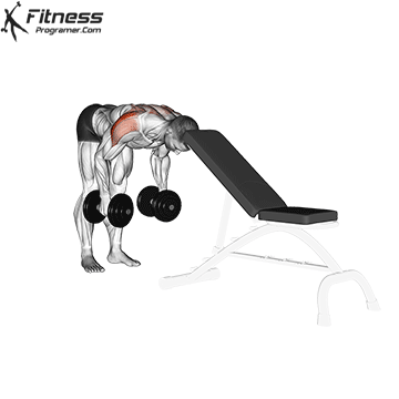 Bent-Over Dumbbell Rear Delt Raise With Head On Bench » Fitness Programer