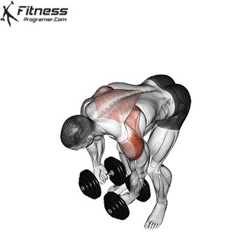 Omuz » Workout Routine Created By Fevzi K