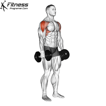 Dumbell Shoulders » Workout Routine Created By Ömer Deniz