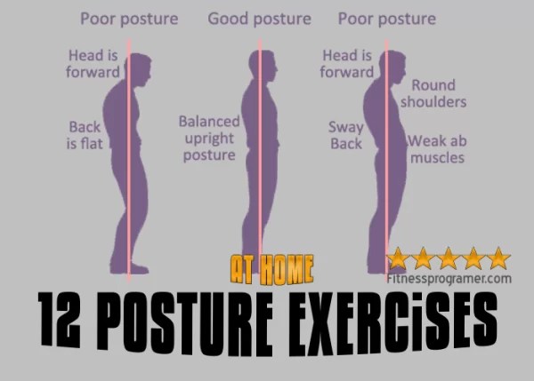 The Best 12 Posture Exercises » Workout Plan Builder