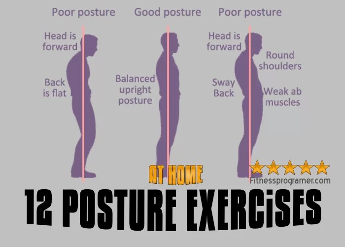 The Best 12 Posture Exercises » Workout Routine Created By Kuzey