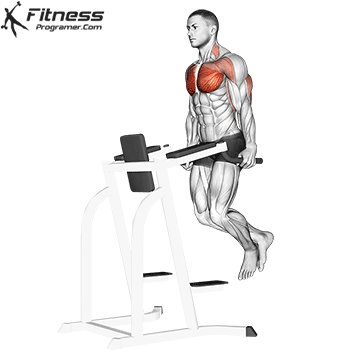 UPPER BODY » Workout Routine Created By Abderrahmane Batihi
