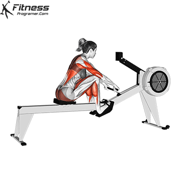 Beginner » Workout Builder