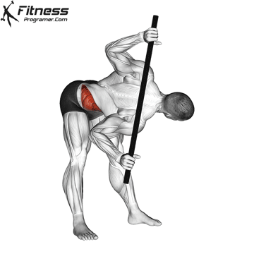 Bent Over Twist » Fitness Programer