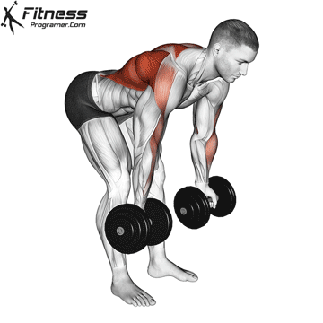 Bent Over Dumbbell Row